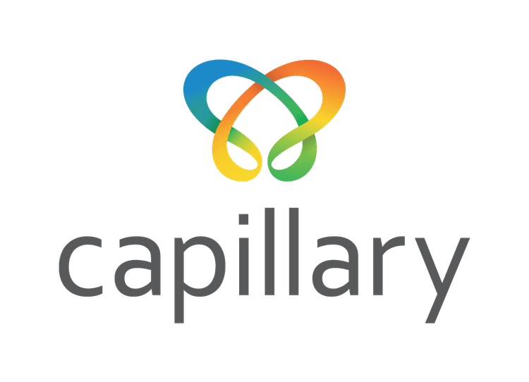 Capillary
